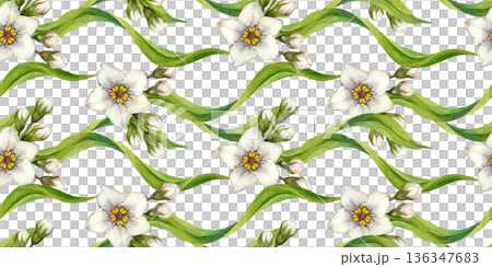 Seamless green borders with hand-drawn watercolor white flowers and leaves. Botanical horizontal pattern for holydays, Easter, Mother's Day, labels, frames, greeting cards, and summer and spring decor 136347683