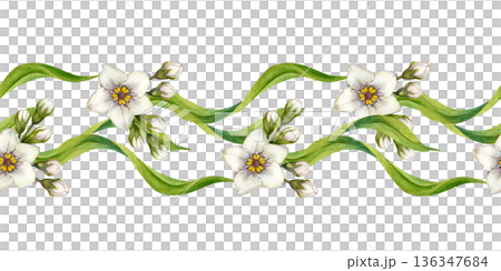 Seamless green borders with hand-drawn watercolor white flowers and leaves. Botanical horizontal pattern for holydays, Easter, Mother's Day, labels, frames, greeting cards, and summer and spring decor Seamless green borders with hand-drawn watercolor white flowers and leaves. Botanical horizontal pattern for holydays, Easter, Mother's Day, labels, frames, greeting cards, and summer and spring decor 136347684