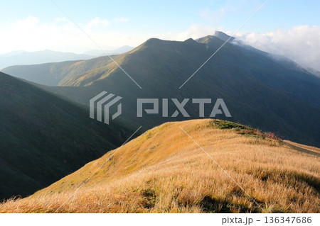 朝日に輝く草紅葉 山並みが重なる秋の風景 朝日に輝く草紅葉 山並みが重なる秋の風景 136347686