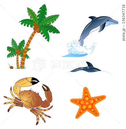 Summer banner 136347716