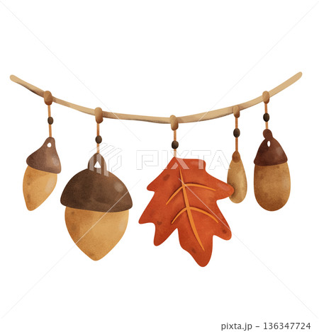 Maple leaf and acorns hanging on a rope 136347724
