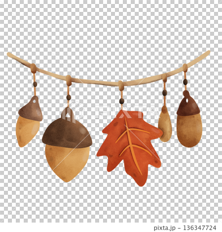 Maple leaf and acorns hanging on a rope 136347724