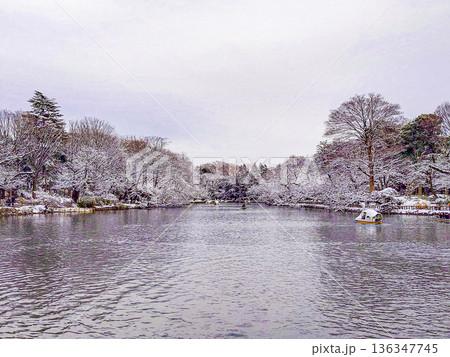 井の頭公園 136347745