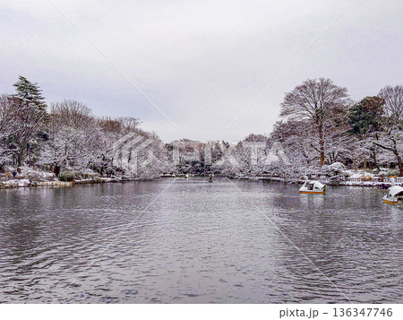 井の頭公園 井の頭公園 136347746