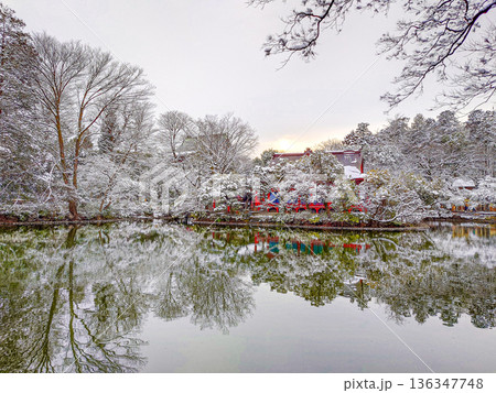井の頭公園 井の頭公園 136347748