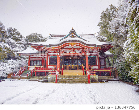 武蔵野八幡宮 武蔵野八幡宮 136347756