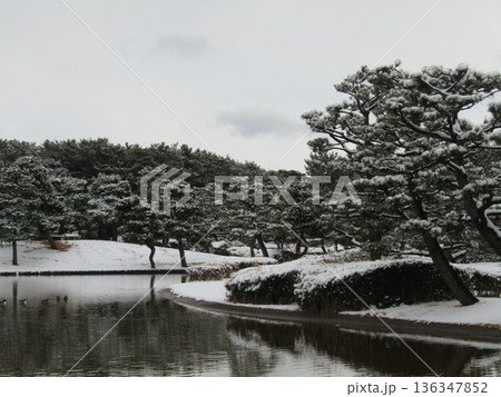 稲毛海浜公園浜の池の雪景色 稲毛海浜公園浜の池の雪景色 136347852