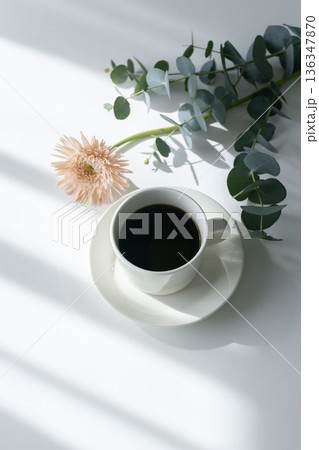 白背景に斜めの光　コーヒーカップとユーカリとガーベラの静物 136347870