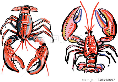 Colorful Sketch Lobster Illustration in Expressive Decorative Style 136348097