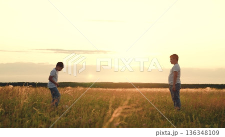 People nature, child kid playing ball lawn outdoors, happy childhood schoolchildren sunset, boys and their friends play football on the grass., children having fun on the lawn with a soccer ball People nature, child kid playing ball lawn outdoors, happy childhood schoolchildren sunset, boys and their friends play football on the grass., children having fun on the lawn with a soccer ball 136348109