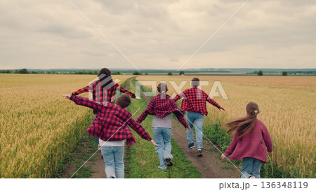 agriculture, children running for boys and girls, Energetic kids in wheat field, outdoor family fun, childhood happiness, playful team spirit, united siblings, running along rural road, fresh air joy agriculture, children running for boys and girls, Energetic kids in wheat field, outdoor family fun, childhood happiness, playful team spirit, united siblings, running along rural road, fresh air joy 136348119