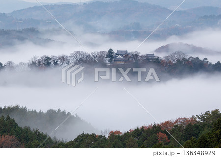 備中松山城（雲海） 136348929