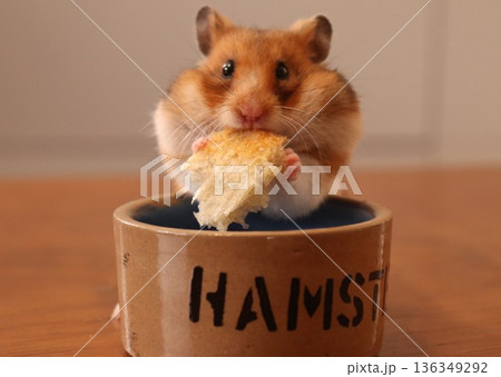 バゲットを頬張るハムスター 136349292