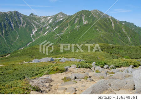 木曽駒ヶ岳と宝剣岳を望む夏の稜線　緑が広がる高山の風景 136349361