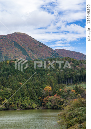 日本 島根県大田市三瓶町にある浮布池展望所から眺める三瓶山 日本 島根県大田市三瓶町にある浮布池展望所から眺める三瓶山 136349890