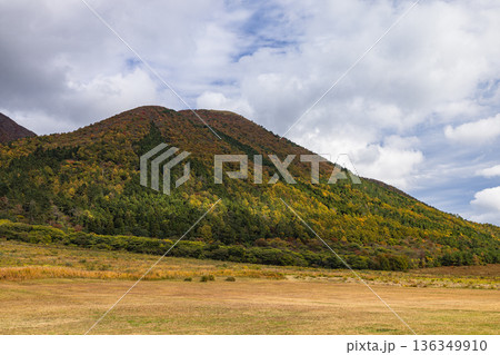 日本　島根県大田市三瓶町にある西の原から眺める三瓶山 136349910