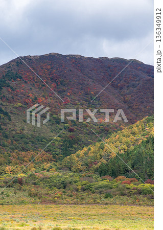日本 島根県大田市三瓶町にある西の原から眺める三瓶山 日本 島根県大田市三瓶町にある西の原から眺める三瓶山 136349912