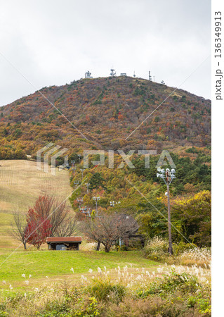 日本 島根県大田市三瓶町にある東の原から眺める三瓶山 日本 島根県大田市三瓶町にある東の原から眺める三瓶山 136349913