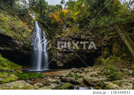 日本 島根県雲南市掛合町にある龍頭ヶ滝雄滝と紅葉した木々 日本 島根県雲南市掛合町にある龍頭ヶ滝雄滝と紅葉した木々 136349931