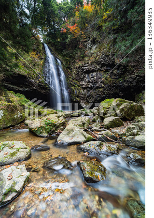 日本 島根県雲南市掛合町にある龍頭ヶ滝雄滝と紅葉した木々 日本 島根県雲南市掛合町にある龍頭ヶ滝雄滝と紅葉した木々 136349935