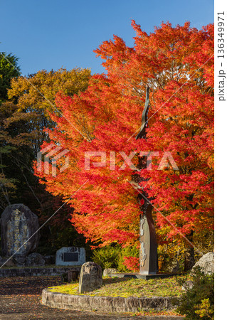 日本　島根県仁多郡奥出雲町にある奥出雲おろちループの紅葉 136349971
