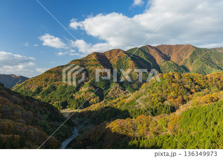 日本　島根県仁多郡にある奥出雲おろちループの三井野大橋から眺める紅葉した山 136349973