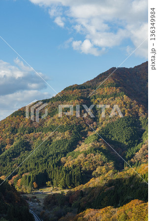 日本　島根県仁多郡にある奥出雲おろちループの三井野大橋から眺める紅葉した山 136349984