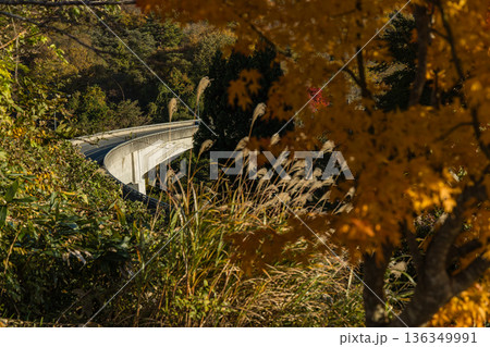 日本　島根県仁多郡奥出雲町にある奥出雲おろちループの紅葉した木々 136349991