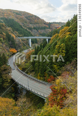 日本 島根県仁多郡奥出雲町にある奥出雲おろちループの紅葉した木々 日本 島根県仁多郡奥出雲町にある奥出雲おろちループの紅葉した木々 136349998