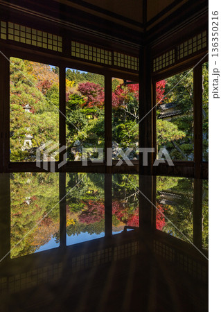 日本　鳥取県八頭郡智頭町にある石谷家住宅の座敷から見える石谷氏庭園と紅葉 136350216