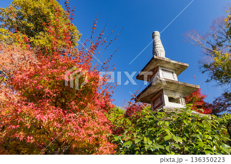 日本　鳥取県八頭郡智頭町にある石谷家住宅内の石谷氏庭園と紅葉 136350223
