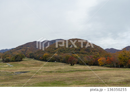 日本 鳥取県日野郡江府町にある奥大山スキー場の紅葉した木々 日本 鳥取県日野郡江府町にある奥大山スキー場の紅葉した木々 136350255