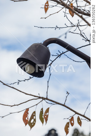 日本　島根県大田市大森にある石見銀山の大森銀山伝統的重要建造物群保存地区の街灯 136350262