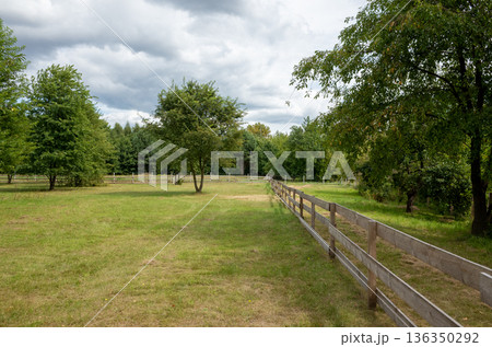 Calm rural scene featuring grassy field and distant line of trees 136350292