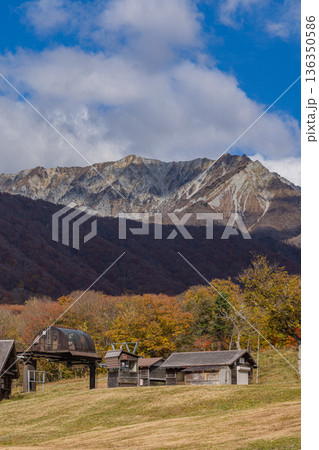 日本　鳥取県日野郡江府町にある奥大山スキー場の紅葉した木々と奥に望む大山 136350586