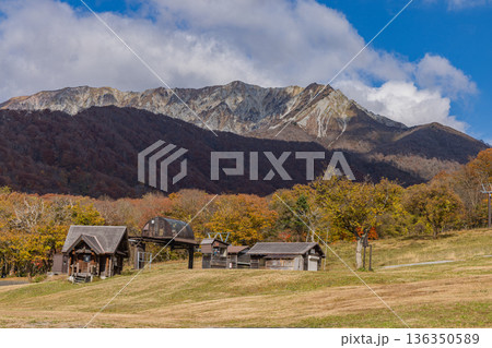日本 鳥取県日野郡江府町にある奥大山スキー場の紅葉した木々と奥に望む大山 日本 鳥取県日野郡江府町にある奥大山スキー場の紅葉した木々と奥に望む大山 136350589