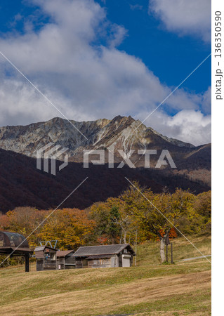 日本　鳥取県日野郡江府町にある奥大山スキー場の紅葉した木々と奥に望む大山 136350590