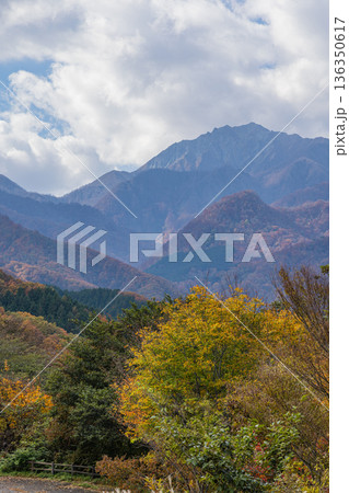 日本　鳥取県倉吉市関金町にある地蔵峠展望駐車場から眺める大山と紅葉した木々 136350617