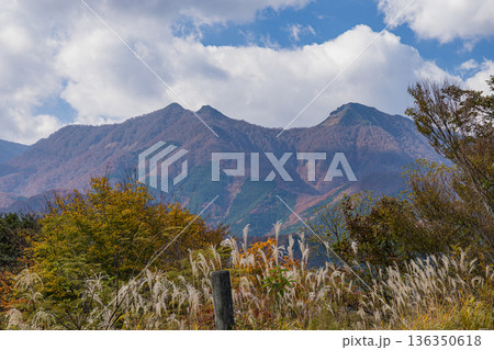 日本　鳥取県倉吉市関金町にある地蔵峠展望駐車場から眺める大山と紅葉した木々 136350618