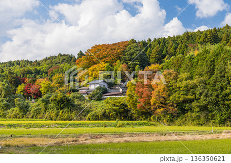 日本 鳥取県倉吉市関金町にある旧国鉄倉吉線の廃線跡沿いの町並み 日本 鳥取県倉吉市関金町にある旧国鉄倉吉線の廃線跡沿いの町並み 136350621