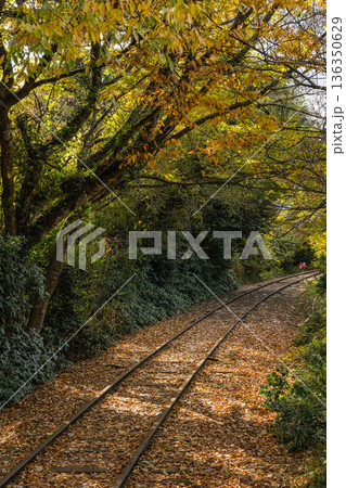日本　鳥取県倉吉市関金町にある旧国鉄倉吉線、泰久寺駅の廃線跡の線路と紅葉した木々 136350629