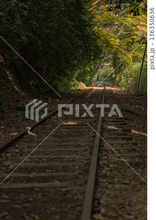 日本　鳥取県倉吉市関金町にある旧国鉄倉吉線、泰久寺駅の廃線跡の線路と紅葉した木々 136350636