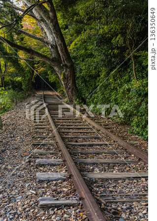 日本　鳥取県倉吉市関金町にある旧国鉄倉吉線、泰久寺駅の廃線跡の線路と紅葉した木々 136350649