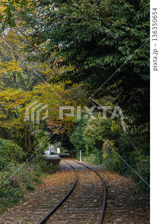 日本　鳥取県倉吉市関金町にある旧国鉄倉吉線の泰久寺駅跡と線路沿いの紅葉した木々 136350654