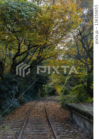 日本 鳥取県倉吉市関金町にある旧国鉄倉吉線の泰久寺駅跡と線路沿いの紅葉した木々 日本 鳥取県倉吉市関金町にある旧国鉄倉吉線の泰久寺駅跡と線路沿いの紅葉した木々 136350655