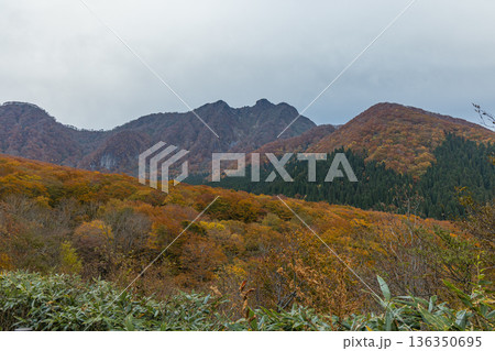 日本　鳥取県日野郡江府町の鍵掛峠近くの大山環状道路から眺める烏ヶ山と紅葉した木々 136350695