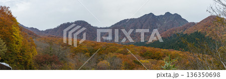 日本　鳥取県日野郡江府町の鍵掛峠近くの大山環状道路から眺める烏ヶ山と紅葉した木々 136350698
