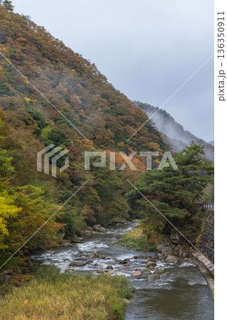 日本 鳥取県日野郡日南町にある渓谷、石霞渓の紅葉 日本 鳥取県日野郡日南町にある渓谷、石霞渓の紅葉 136350911