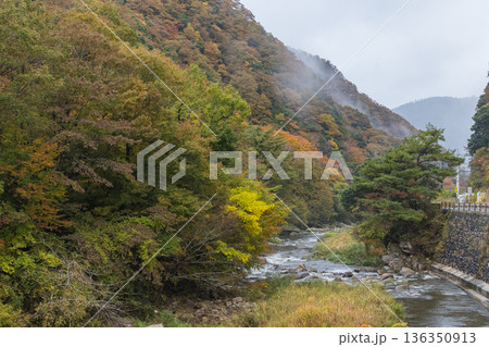 日本　鳥取県日野郡日南町にある渓谷、石霞渓の紅葉 136350913