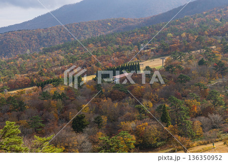 日本 鳥取県西伯郡大山町にある豪円山のろし台から眺める大山の紅葉した木々 日本 鳥取県西伯郡大山町にある豪円山のろし台から眺める大山の紅葉した木々 136350952